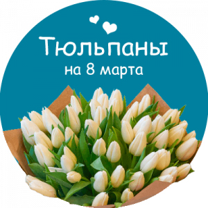 Купить тюльпаны в Харовске